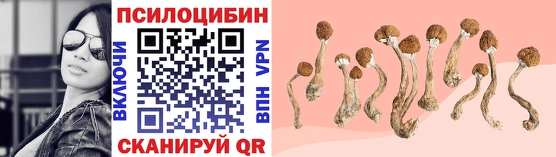 Псилоцибиновые грибы ЛСД Купить закладки Тюкалинск